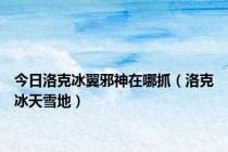 今日洛克冰翼邪神在哪抓（洛克冰天雪地）