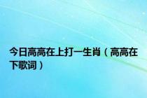 今日高高在上打一生肖（高高在下歌词）