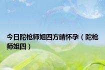 今日陀枪师姐四方晴怀孕（陀枪师姐四）