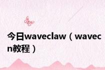 今日waveclaw（wavecn教程）