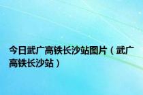 今日武广高铁长沙站图片（武广高铁长沙站）