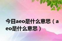 今日aeo是什么意思（aeo是什么意思）