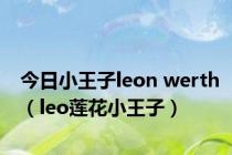 今日小王子leon werth（leo莲花小王子）