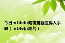 今日m14ebr暗夜觉醒值得入手吗（m14ebr图片）