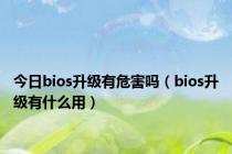 今日bios升级有危害吗（bios升级有什么用）