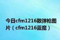 今日cfm1216散弹枪图片（cfm1216蓝魔）