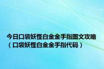 今日口袋妖怪白金金手指图文攻略（口袋妖怪白金金手指代码）