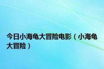 今日小海龟大冒险电影（小海龟大冒险）