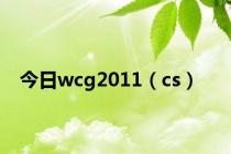 今日wcg2011（cs）