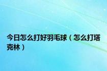 今日怎么打好羽毛球（怎么打塔克林）