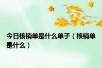 今日核销单是什么单子（核销单是什么）