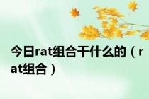 今日rat组合干什么的（rat组合）