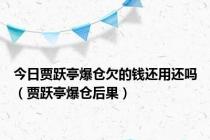 今日贾跃亭爆仓欠的钱还用还吗（贾跃亭爆仓后果）