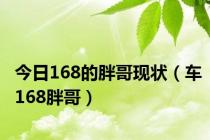 今日168的胖哥现状（车168胖哥）