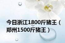 今日浙江1800斤猪王（郑州1500斤猪王）