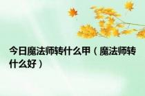 今日魔法师转什么甲（魔法师转什么好）