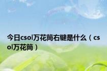 今日csol万花筒右键是什么（csol万花筒）