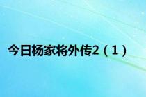 今日杨家将外传2（1）