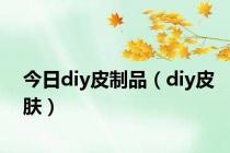 今日diy皮制品（diy皮肤）