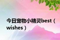 今日宠物小精灵best（wishes）