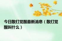 今日散打觉醒最新消息（散打觉醒叫什么）