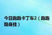 今日跑跑卡丁车2（跑跑隐身挂）