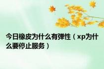 今日橡皮为什么有弹性（xp为什么要停止服务）