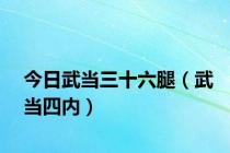 今日武当三十六腿（武当四内）