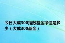 今日大成300指数基金净值是多少（大成300基金）