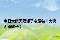 今日大唐无双矮子专属名（大唐无双矮子）