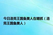 今日洛克王国鱼美人在哪抓（洛克王国鱼美人）