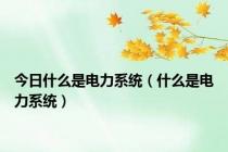 今日什么是电力系统（什么是电力系统）