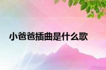 小爸爸插曲是什么歌