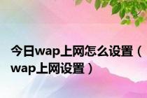 今日wap上网怎么设置（wap上网设置）