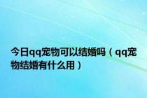 今日qq宠物可以结婚吗（qq宠物结婚有什么用）