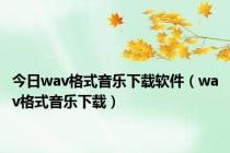 今日wav格式音乐下载软件（wav格式音乐下载）