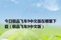 今日极品飞车9中文版在哪里下载（极品飞车9中文版）