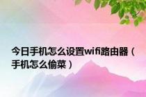 今日手机怎么设置wifi路由器（手机怎么偷菜）