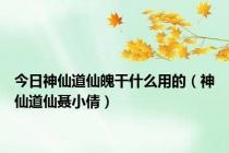 今日神仙道仙魄干什么用的（神仙道仙聂小倩）