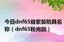 今日dnf65级紫装防具名称（dnf65粉光剑）