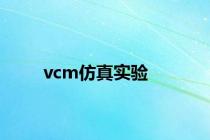 vcm仿真实验