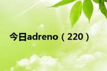 今日adreno（220）