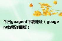 今日goagent下载地址（goagent教程详细版）