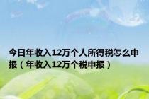 今日年收入12万个人所得税怎么申报（年收入12万个税申报）