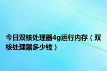 今日双核处理器4g运行内存（双核处理器多少钱）