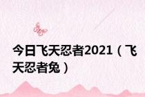 今日飞天忍者2021（飞天忍者兔）