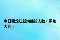 今日黑龙江新增确诊人数（黑龙大会）