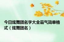 今日炫舞团名字大全霸气简单格式（炫舞团名）