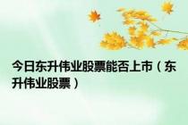 今日东升伟业股票能否上市（东升伟业股票）