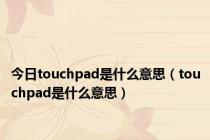 今日touchpad是什么意思（touchpad是什么意思）